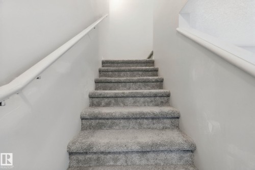 Staircase featuring gray carpeting and white handrails - 8535 Ellis Link Link Nw, Edmonton, AB 