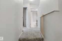Plush carpeting on stairs and hallway - 