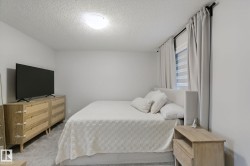 White walls and carpeted flooring - 