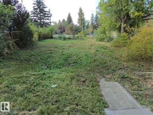Grassed yard with mature trees - 13567 107A Avenue Nw, Edmonton, AB 