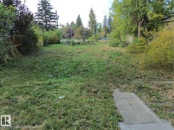 Grassed yard with mature trees - 