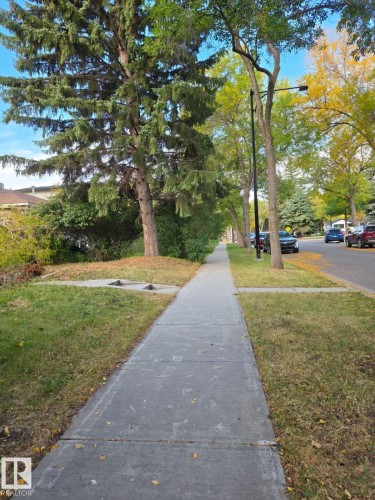 Concrete sidewalk bordered by grass and mature trees - 13567 107A Avenue Nw, Edmonton, AB 