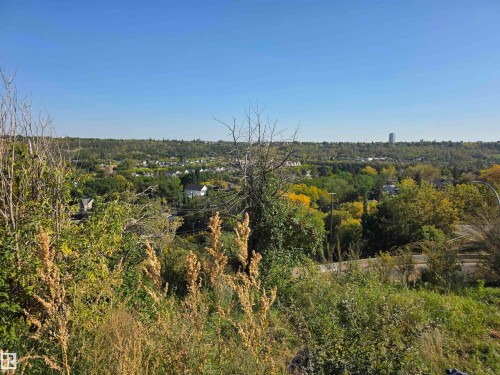 Expansive elevated terrain featuring varied natural foliage and distant architectural elements - 9321 101A Avenue Nw, Edmonton, AB 