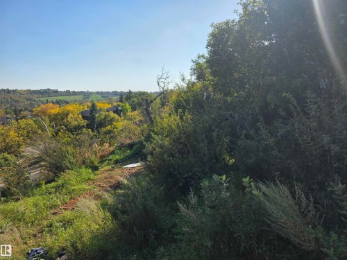 Expansive landscape with a tree-lined horizon and varied foliage under a clear sky - 9321 101A Avenue Nw, Edmonton, AB 