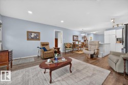 Recessed lighting, wood-finish flooring, white kitchen cabinetry, and track lighting - 