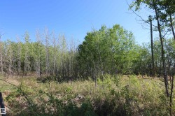 400 54411 RGE RD 40  Rural Lac Ste. Anne County, AB T0E 0A0