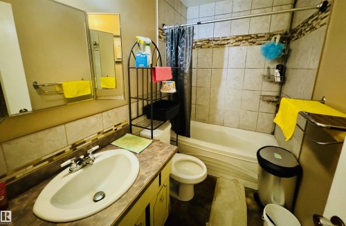 4210 48 Avenue, St. Paul Town, AB - Indoor Photo Showing Bathroom
