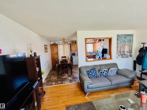 4210 48 Avenue, St. Paul Town, AB - Indoor Photo Showing Living Room