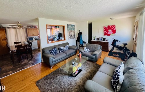 4210 48 Avenue, St. Paul Town, AB - Indoor Photo Showing Living Room