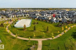 Expansive green space featuring a paved walking path, mature trees, and a community rink - 