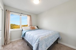 Wall-to-wall carpeting and a large window with a natural landscape - 