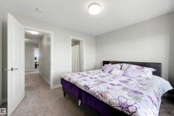 Neutral wall tones, carpeted flooring, and a flush mount ceiling light - 