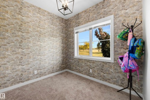 Textured wall covering, white trim window, ceiling-mounted light fixture, and carpeted flooring - #1 1636 Kerr Rd Nw, Edmonton, AB 