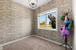 Textured wall covering, white trim window, ceiling-mounted light fixture, and carpeted flooring - 