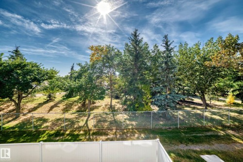 Expansive outdoor space featuring mature trees, a manicured lawn, and a chain-link fence - 161 Lancaster Terrace Nw, Edmonton, AB 