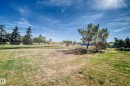 Expansive grassy area featuring mature trees and a chain-link fence - 161 Lancaster Terrace Nw, Edmonton, AB 