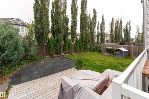 Spacious backyard featuring a wood deck, lawn area, and mature trees along the perimeter - 6613 31 Avenue, Beaumont, AB 