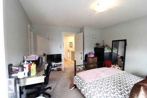 Neutral paint palette with carpet flooring - 17440 77 Street Nw, Edmonton, AB 