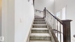 Carpeted staircase with dark wood-finish newel post and balusters - 
