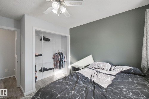 Recessed closet with built-in shelving, ceiling fan with light fixture, and wood-finish flooring - 38 Menalta Place, Cardiff, AB 