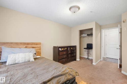 Carpeted flooring, recessed closet with wire shelving, neutral wall paint, and overhead lighting - #203 245 Edwards Dr Sw, Edmonton, AB 