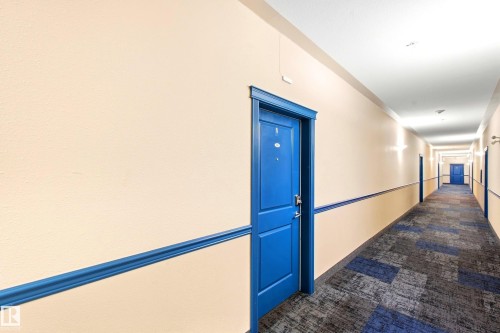 Hallway featuring light-toned walls, blue accent molding, and a patterned carpet runner - #203 245 Edwards Dr Sw, Edmonton, AB 
