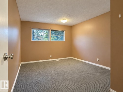 Windowed room featuring textured carpeting and a flush-mount ceiling light - 12204 40 Avenue Nw, Edmonton, AB 