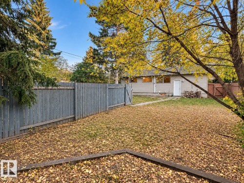 Expansive backyard with a full perimeter fence, mature trees, and a detached building with multiple windows - 12204 40 Avenue Nw, Edmonton, AB 