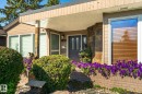 Stone facade entry with wood-paneled soffit, dark entry door, and large window with blinds - 13862 Ravine Drive Nw, Edmonton, AB 