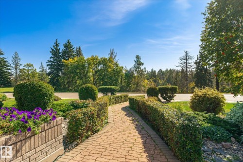 Brick paver pathway with manicured hedges and a brick planter - 13862 Ravine Drive Nw, Edmonton, AB 