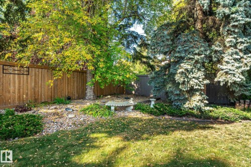 Expansive yard featuring a wooden privacy fence, mature trees, landscaped garden beds, and a concrete bench - 13862 Ravine Drive Nw, Edmonton, AB 