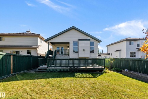Expansive lawn with perimeter fencing, leading to a multi-level deck and covered patio - 1046 Blackburn Close Sw, Edmonton, AB 
