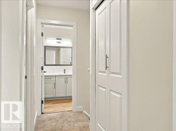 Hallway featuring carpeted flooring and white paneled doors - 