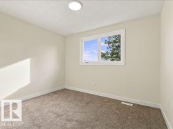 Neutral wall paint, plush carpeting, white trim, and a flush-mount ceiling light fixture - 