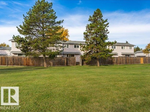 Expansive green space featuring a natural grass lawn, mature evergreen trees, and a wood privacy fence - 18325 66 Avenue Nw, Edmonton, AB 