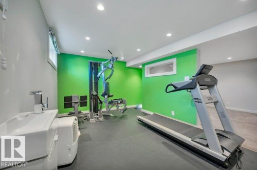 Workout area with rubberized flooring, sink, and exercise equipment (all included in the sale) - 895 Lee Ridge Road Nw, Edmonton, AB 