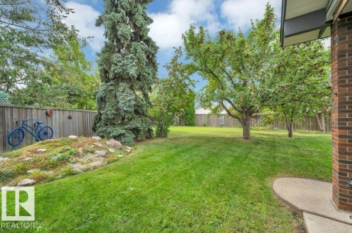 Fruit trees, berries, and perennials - 895 Lee Ridge Road Nw, Edmonton, AB 