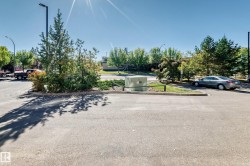 Paved parking area with integrated landscaping and street lighting - 