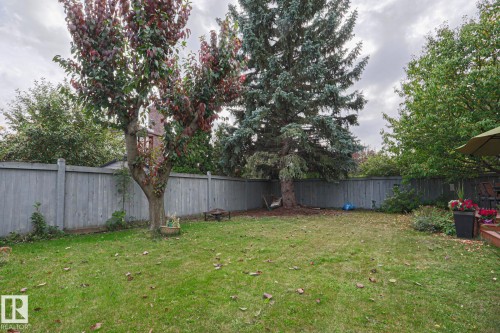 Expansive backyard featuring a manicured lawn, mature trees, and a wooden privacy fence - 995 Ogilvie Boulevard Nw, Edmonton, AB 