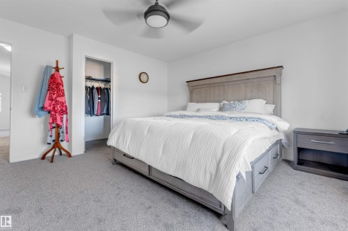 3908 166 Avenue Nw, Edmonton, AB 