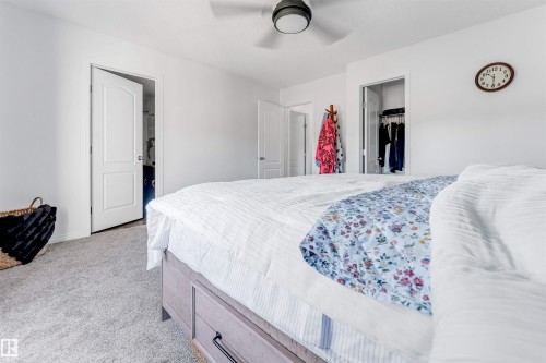 3908 166 Avenue Nw, Edmonton, AB 