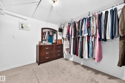 Carpeted flooring, white painted walls, and ceiling-mounted lighting - 