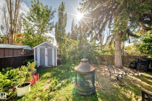 Expansive backyard featuring a manicured lawn, established trees, and a storage shed - 11007 173A Avenue Nw, Edmonton, AB 