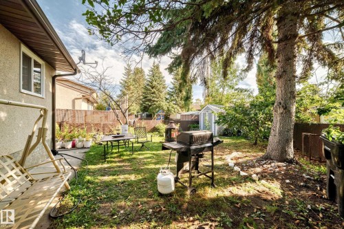Expansive backyard featuring mature trees, a manicured lawn, and a greenhouse structure - 11007 173A Avenue Nw, Edmonton, AB 