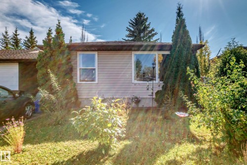 Siding exterior with multiple windows, mature trees, and established shrubbery - 11007 173A Avenue Nw, Edmonton, AB 