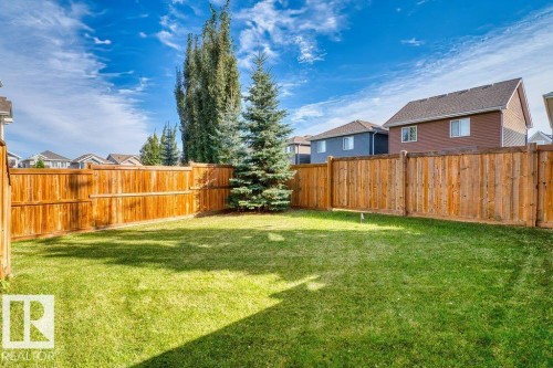 Private backyard featuring a well-maintained lawn and perimeter fencing - 1523 168 Street Sw, Edmonton, AB 