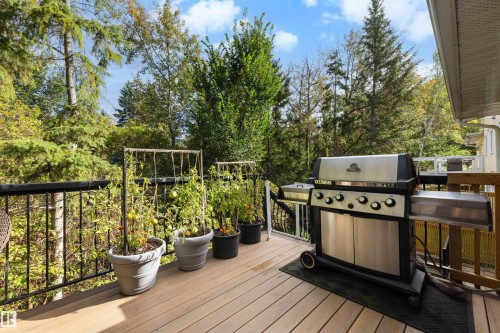 4 Greenwood Place, St. Albert, AB 