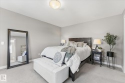 Neutral-toned walls complement plush carpeting - 
