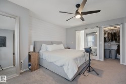 White shiplap accent wall, ceiling fan, carpet flooring, sliding mirrored closet door, and built-in closet shelving - 