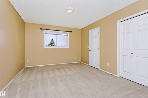 Carpeted flooring, single window with blinds, white paneled doors, and ceiling-mounted light fixture - 4112 37A Avenue Nw, Edmonton, AB 